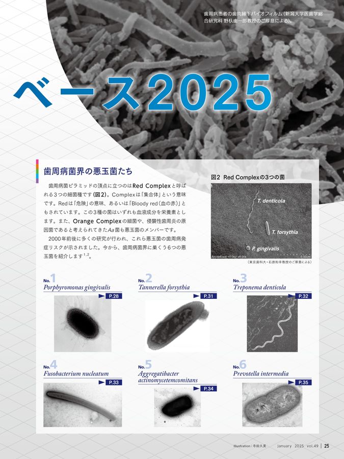 歯科衛生士 2025年1月号