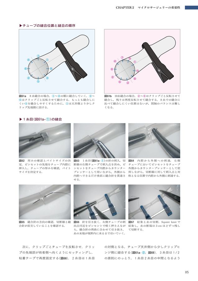 ⚠裁断済 5-D コンセンサス 歯の保存にこだわる 5-Dコンセンサス 歯の保存にこだわる