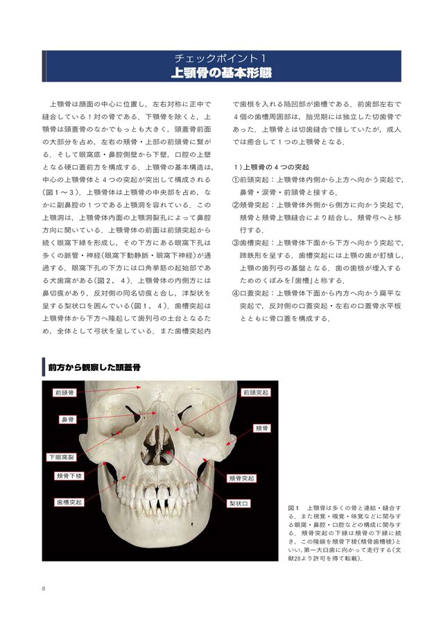 チェアサイドで見る臨床口腔解剖学