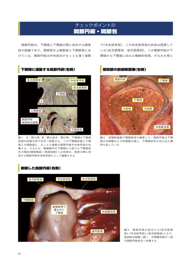 チェアサイドで見る臨床口腔解剖学