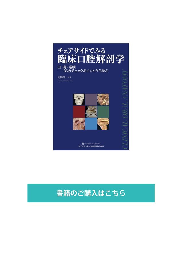 チェアサイドで見る臨床口腔解剖学
