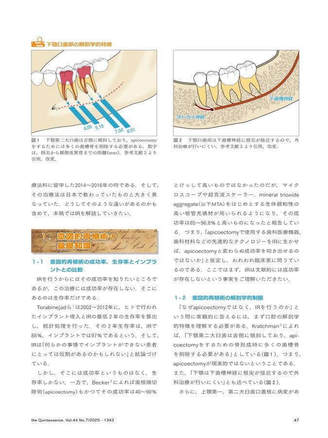 ザ・クインテッセンス 2025年7月号