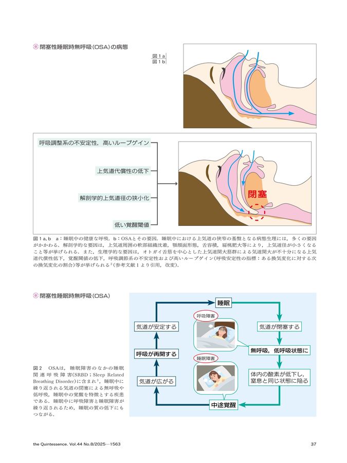 ザ・クインテッセンス 2025年8月号