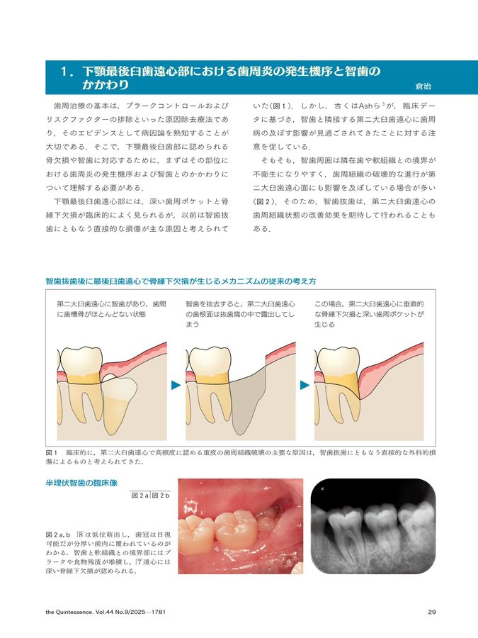 ザ・クインテッセンス 2025年9月号